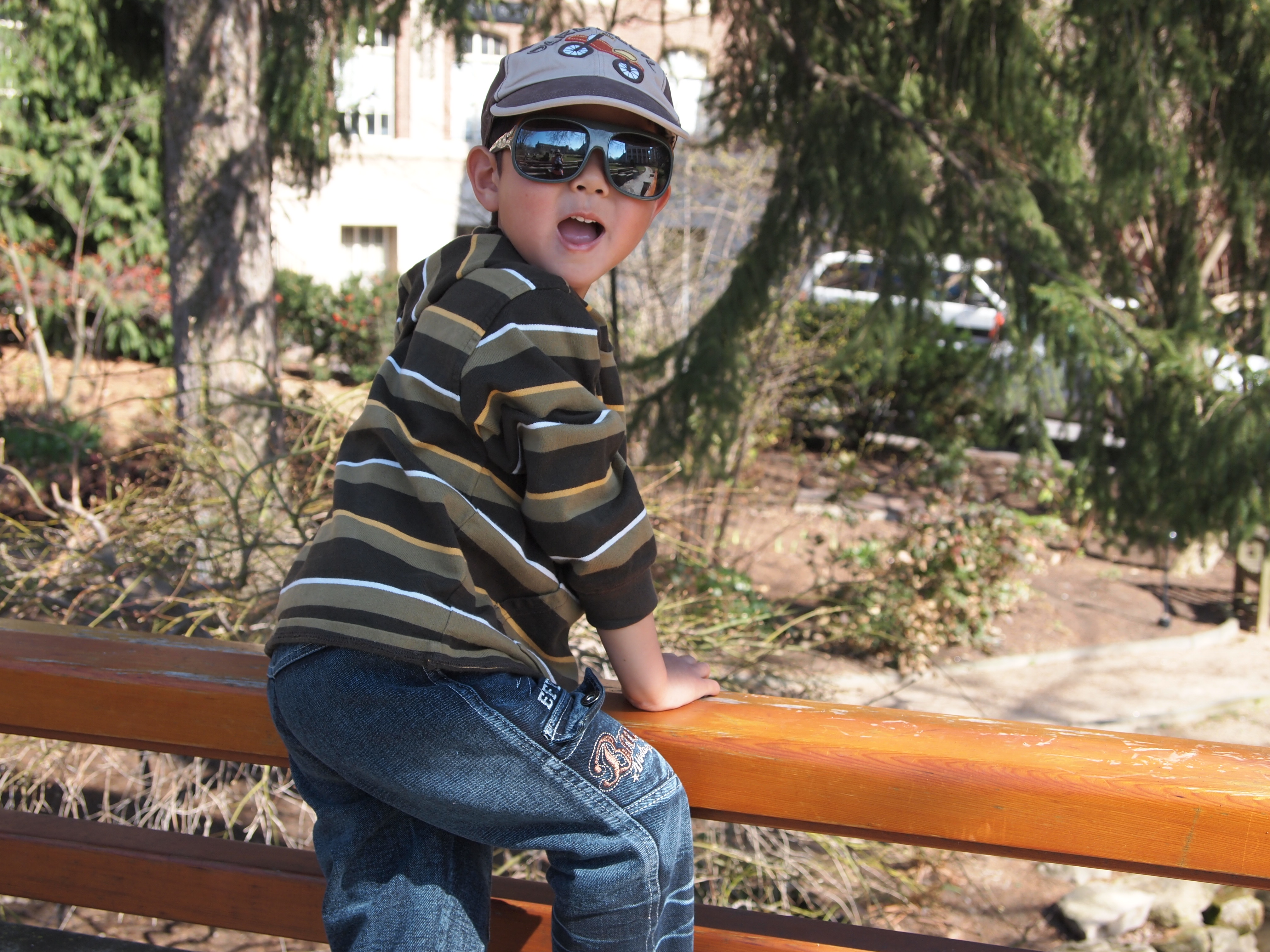 OLYMPUS DIGITAL CAMERA